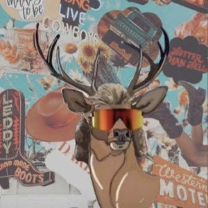 Meet your Posher, Hanna